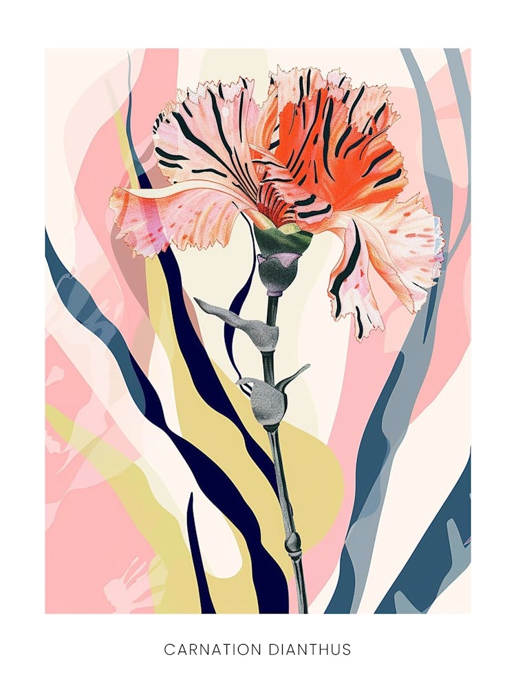 Colourful Flower Illustration Poster Carnation Dianthus 3