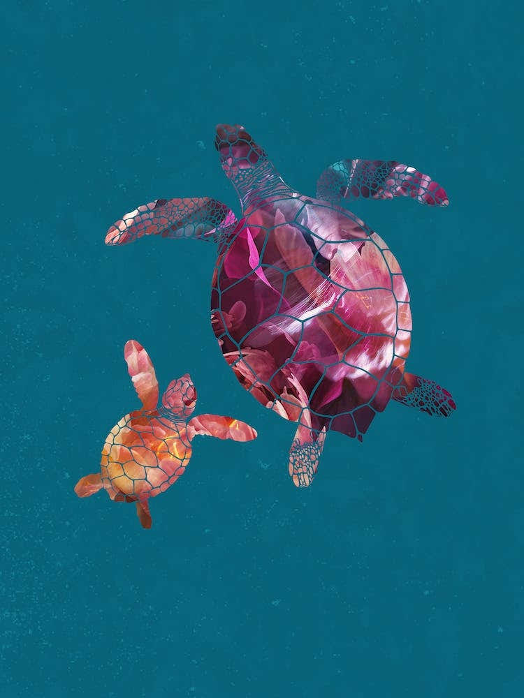 Rainbow Sea Turtles