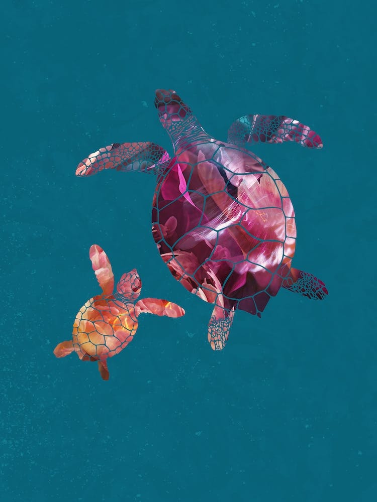 Rainbow Sea Turtles