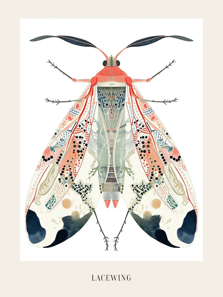 Colourful Insect Illustration Lacewing 19 Poster