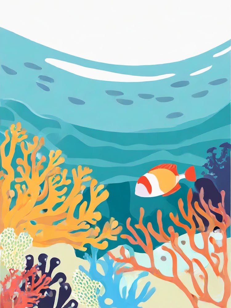 An Undersea View Of The Great Barrier Reef