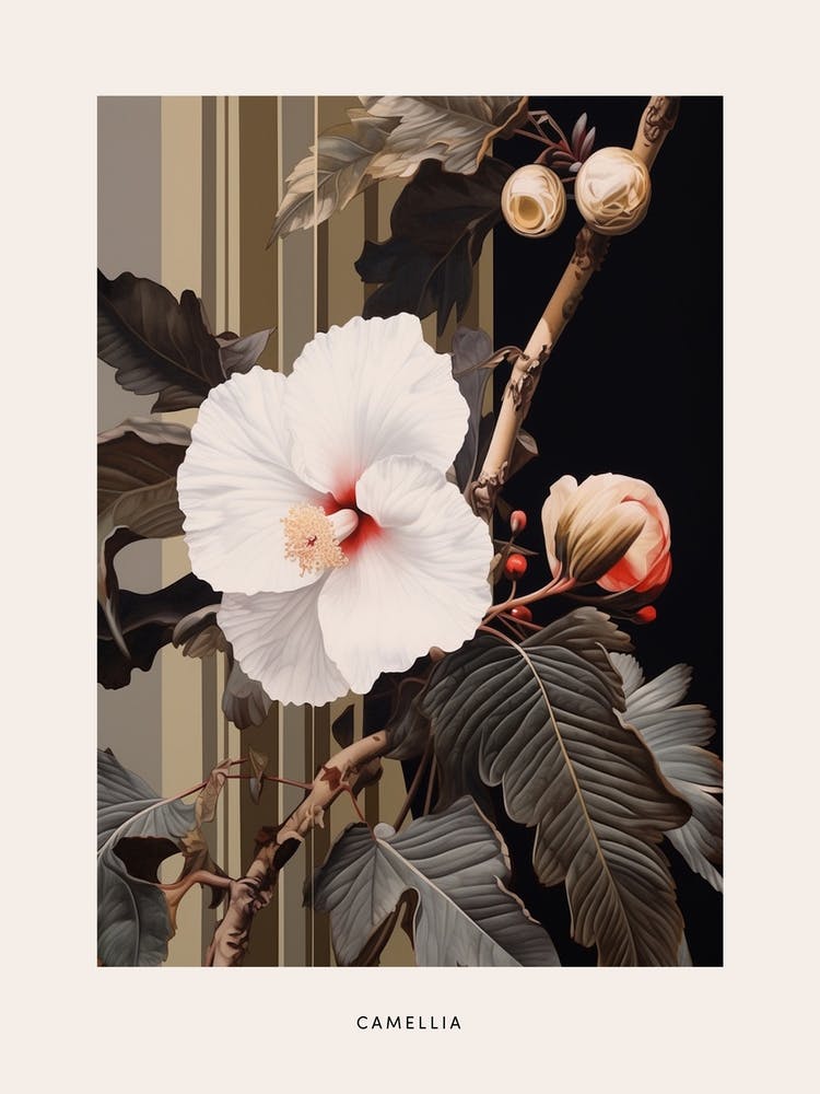 Flower Illustration Camellia 4 Poster