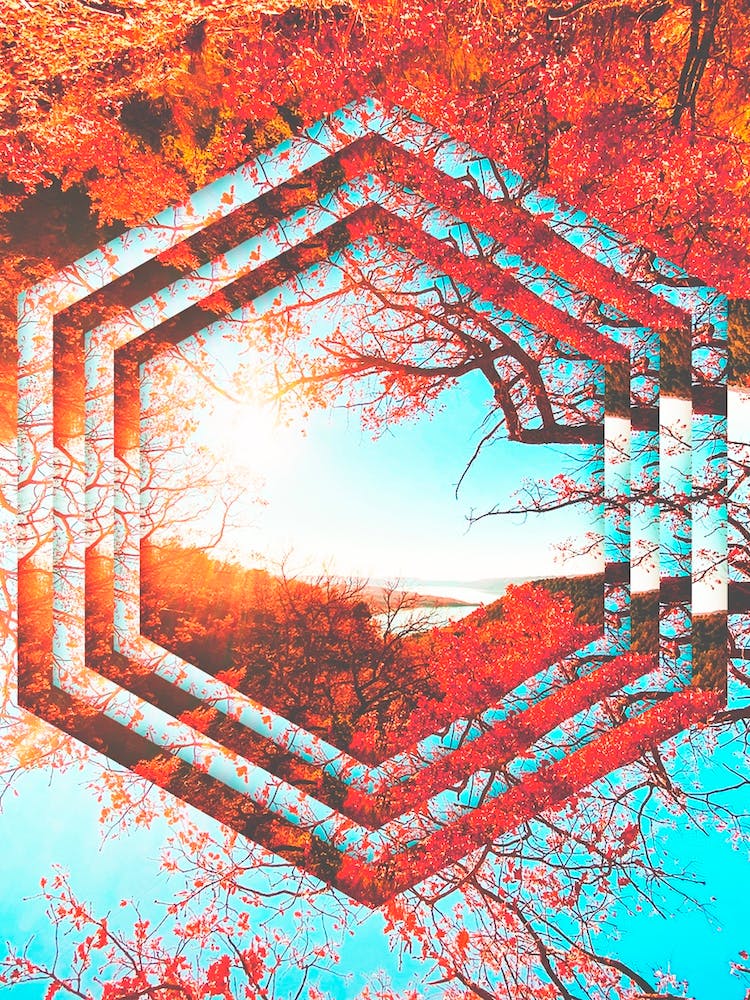 Calida Manana De Invierno