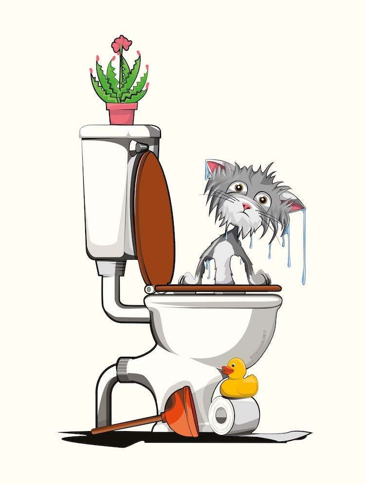 Cat Fallen In Toilet