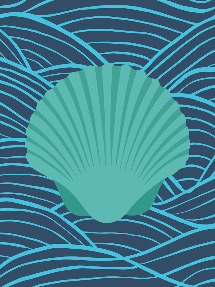 Sea Shell