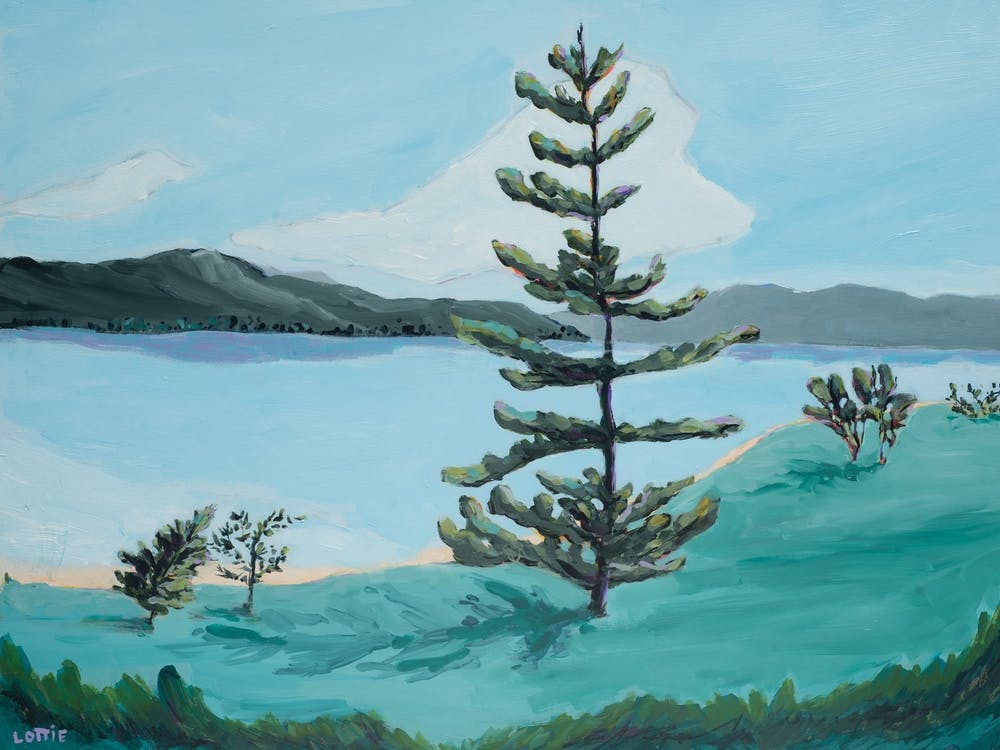 Pine Tree By The Lake