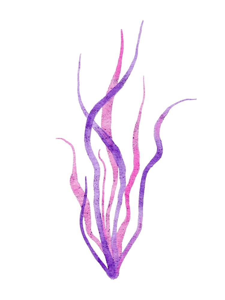 Watercolor Seaweed