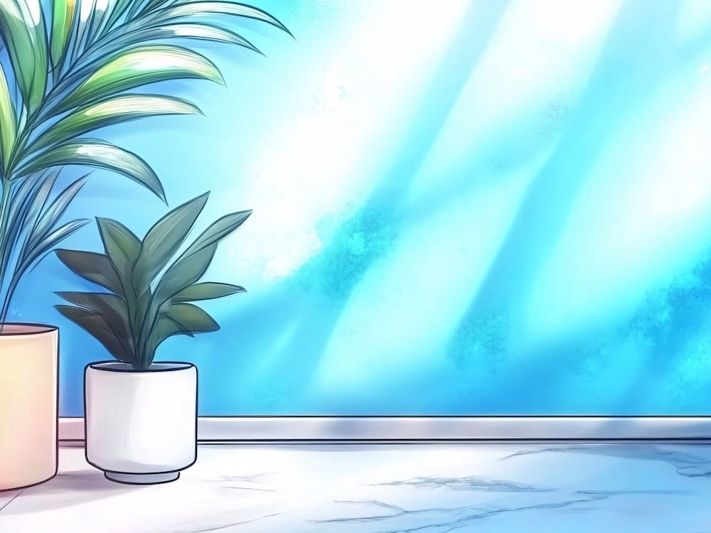 Potted Plants