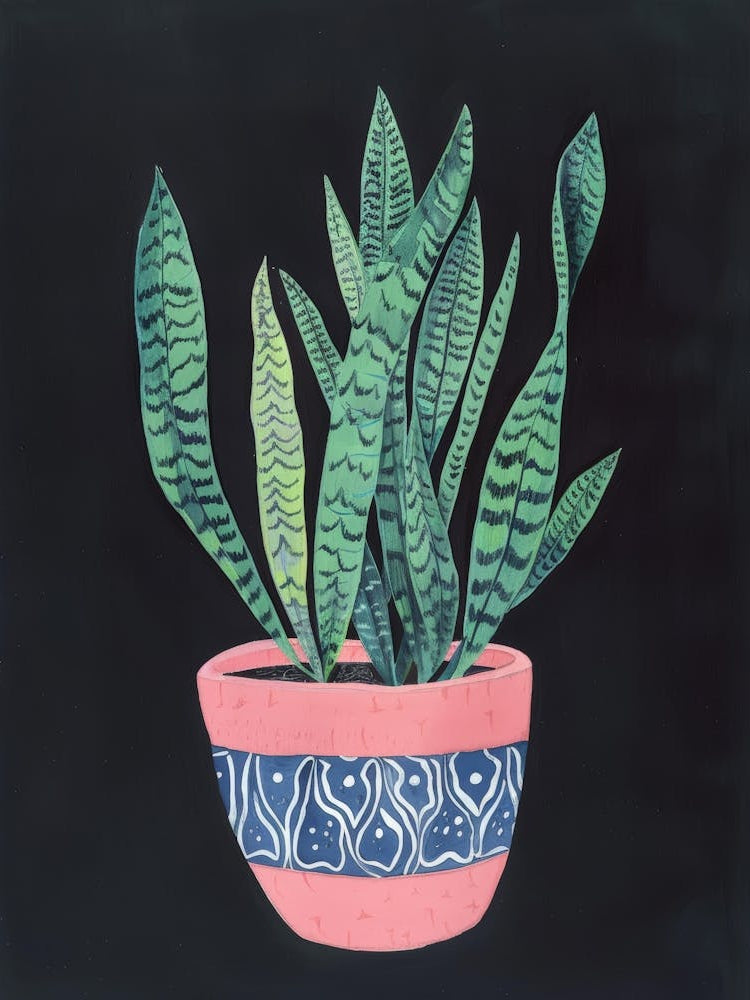 Snake Plant