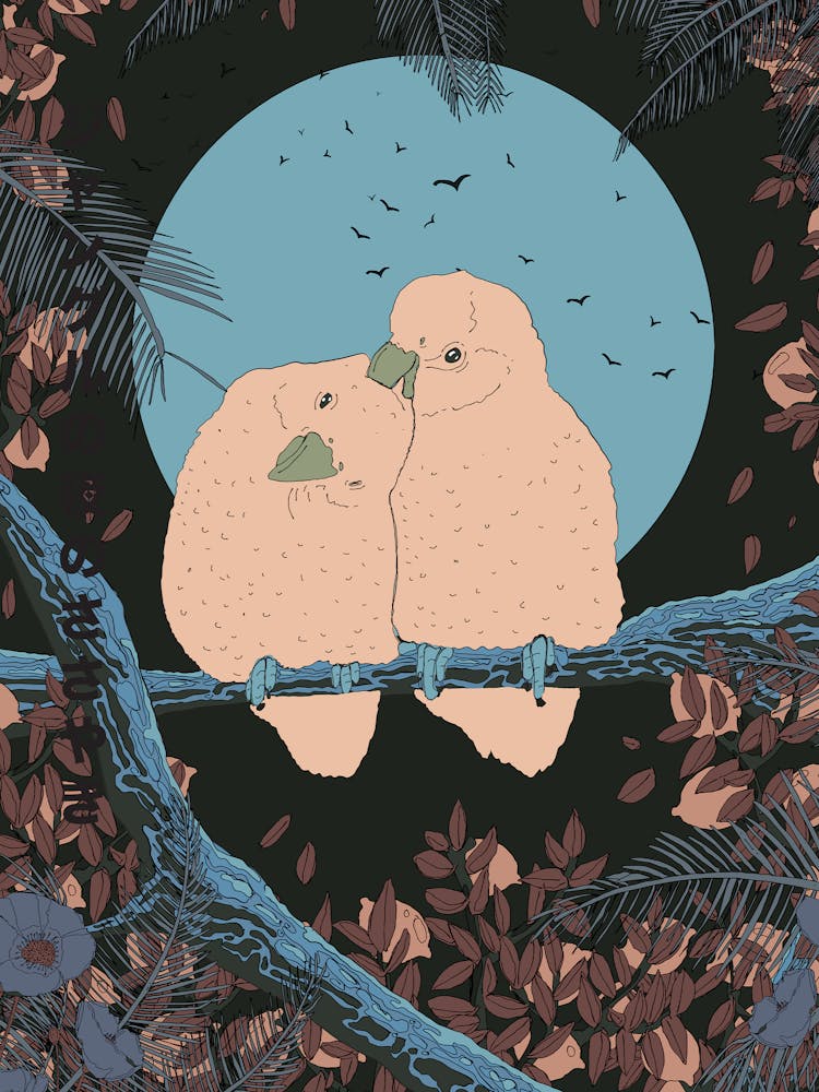 Two Love Birds On A Branch