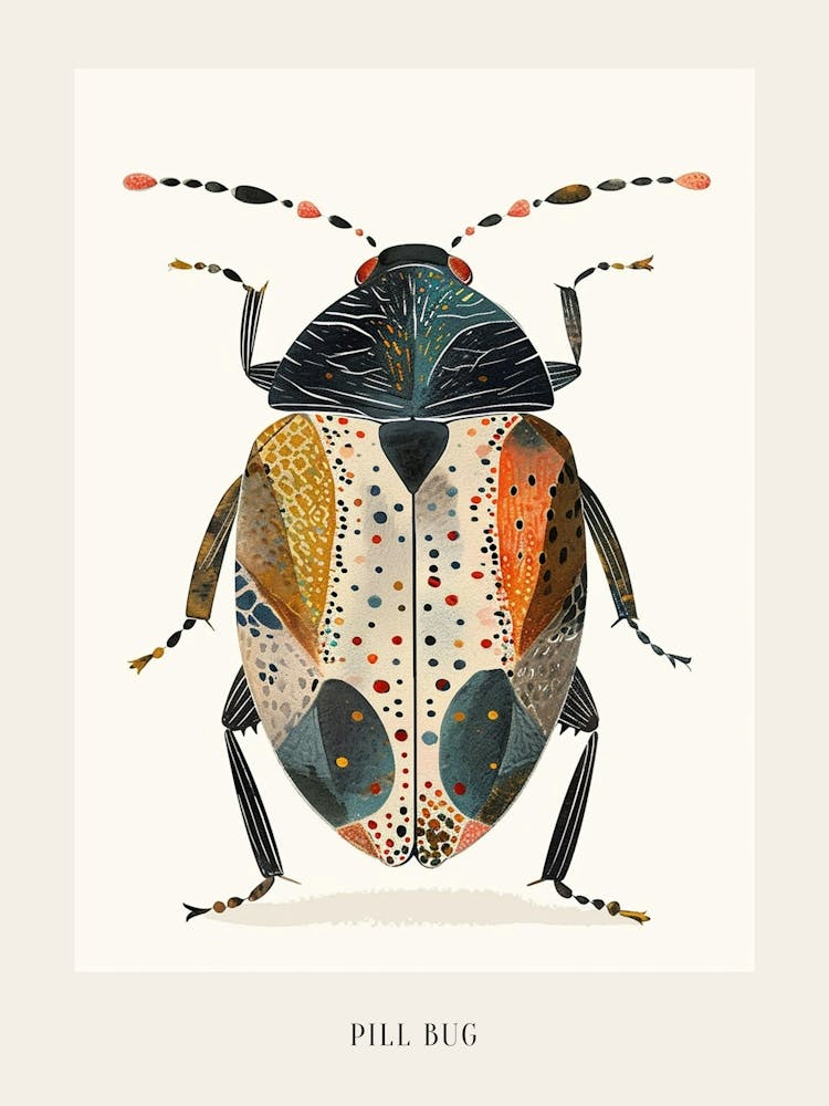 Colourful Insect Illustration Pill Bug 11 Poster