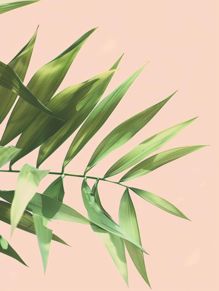 Palm Leaves On A Pink Background 1