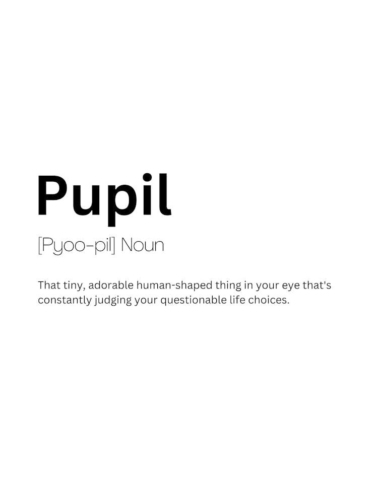 Pupil Definition Meaning