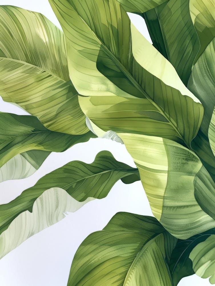 Tropical Leaves 26