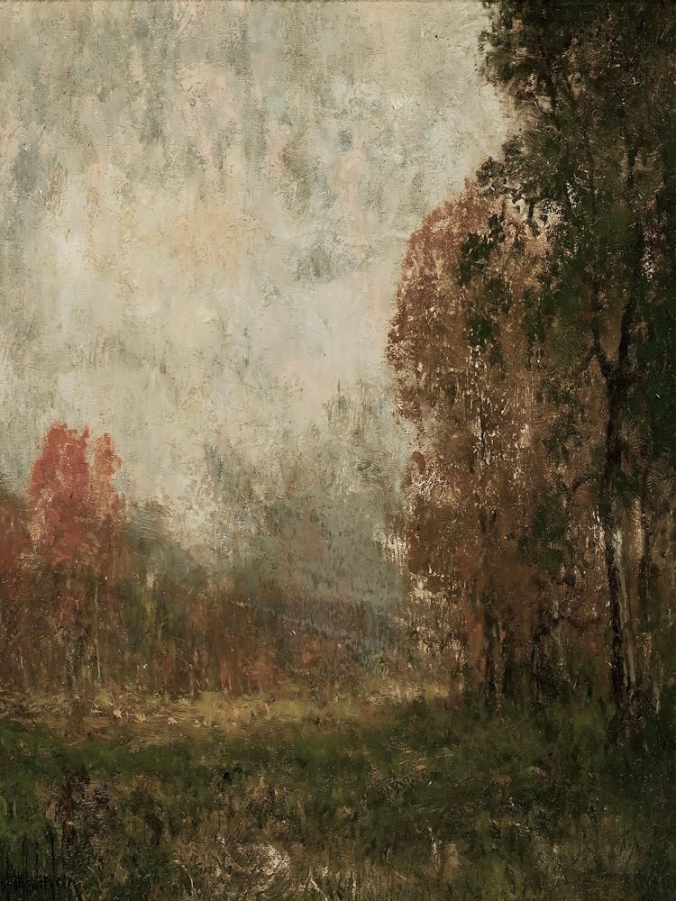 Lone Tree 1