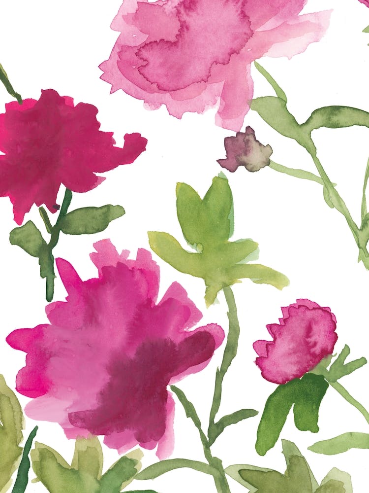 Garden Peonies Part 3