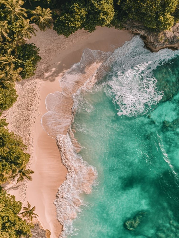 Aerial View Of A Tropical Beach 6