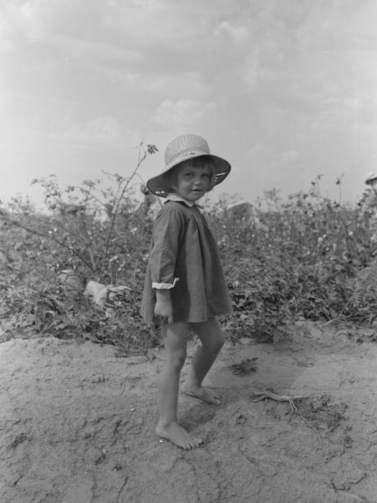 Child Of Farmer In Cotton Field, Lake Dick Project, Arkansas By Russell Lee