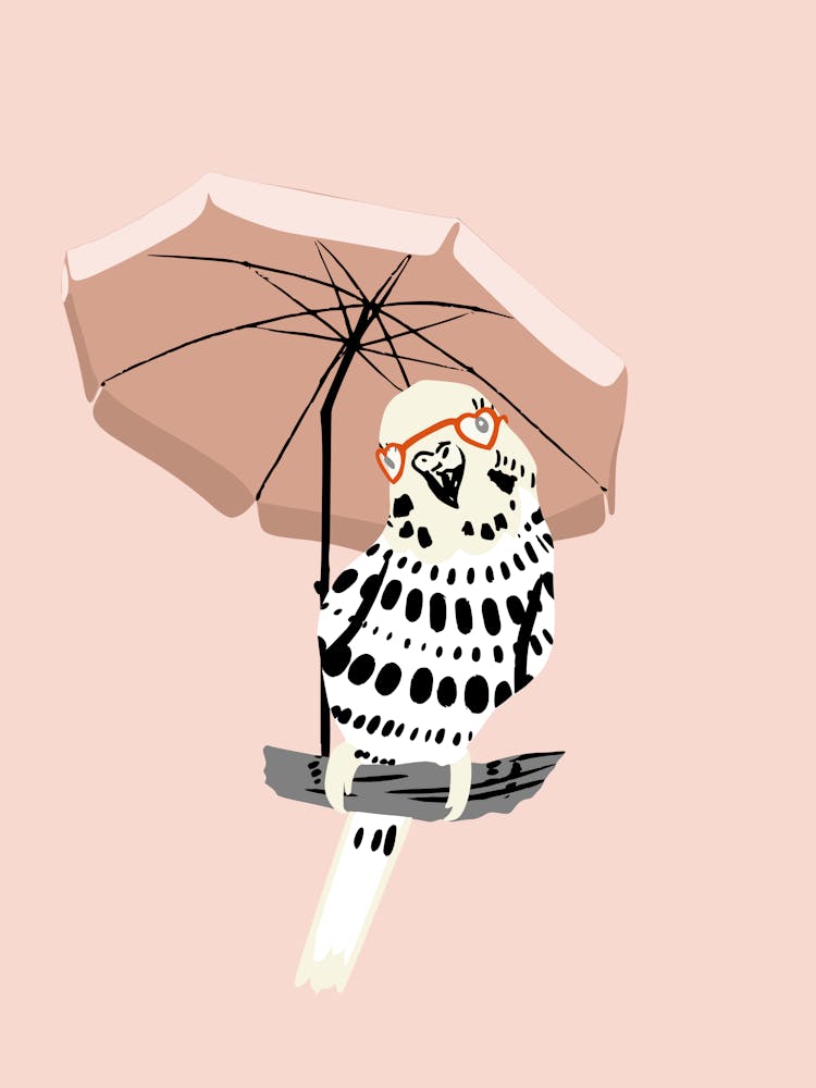 budgie on vacation soft pink