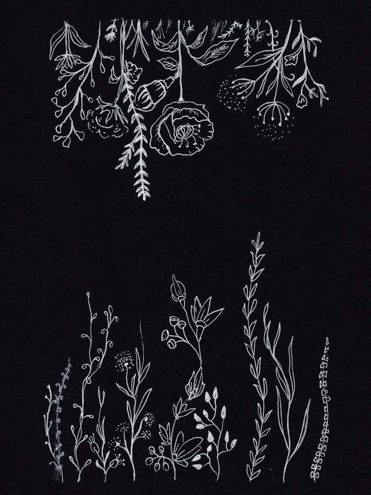 Blumen und Blätter Linienpunktiert auf schwarzem Papier.