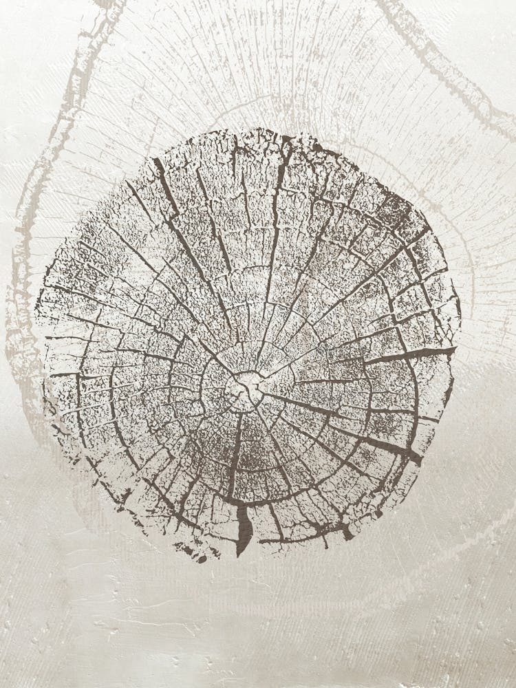 Neutral Tree Ring Stump 3