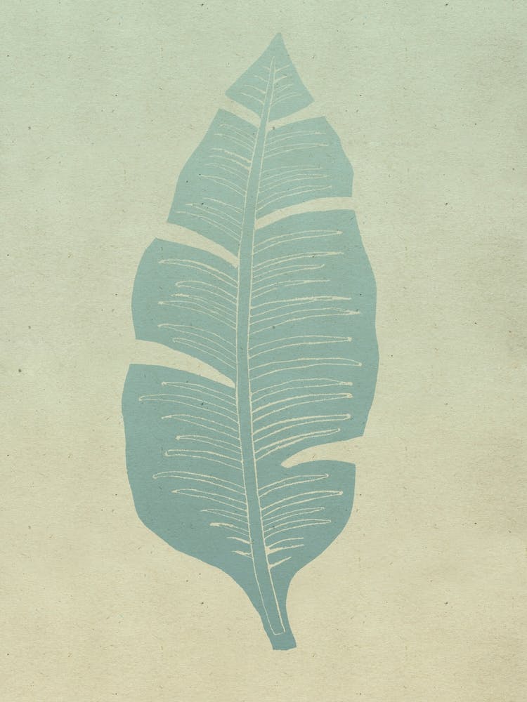 Palma Mint Sage