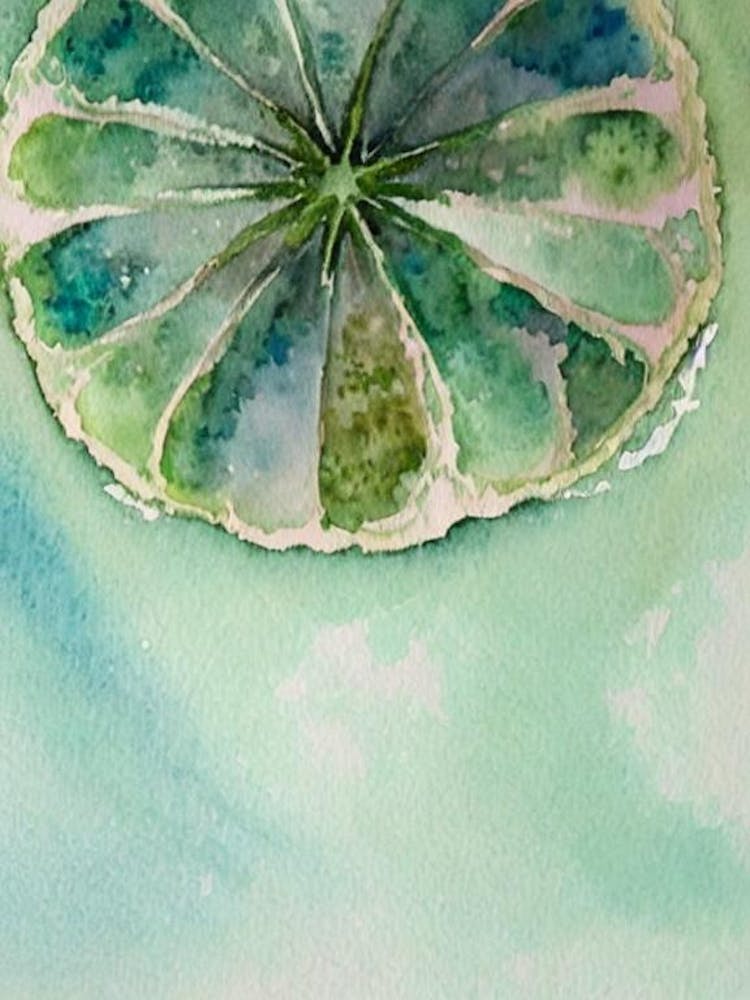 Sand Dollar Storybook Watercolour