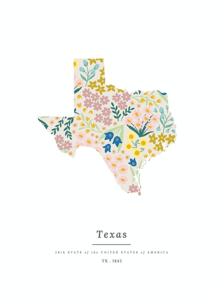 Texas | Wildflower Mix 2