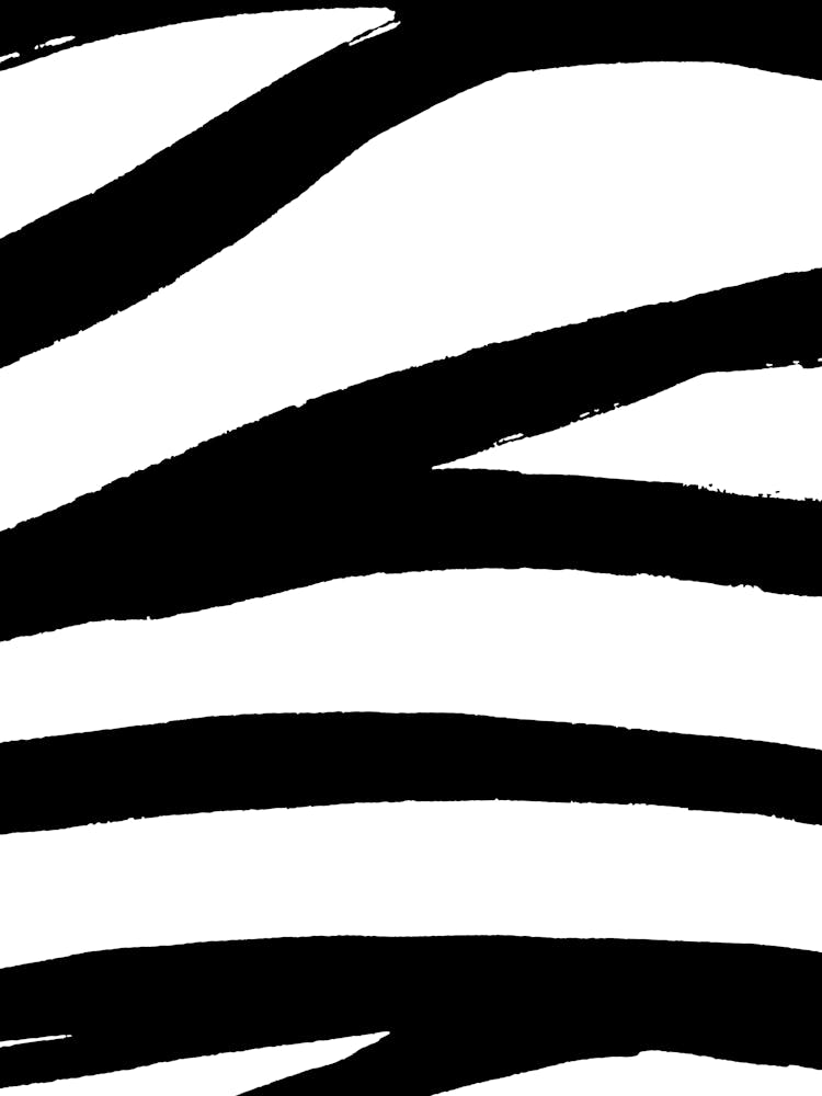 Zebra Stripes 4