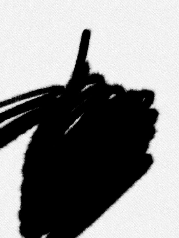 Schwarz-Weiß Bleistiftskizze