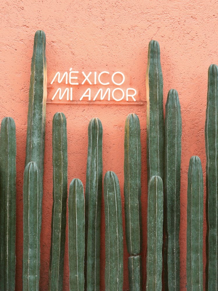 Mexico Mi Amor