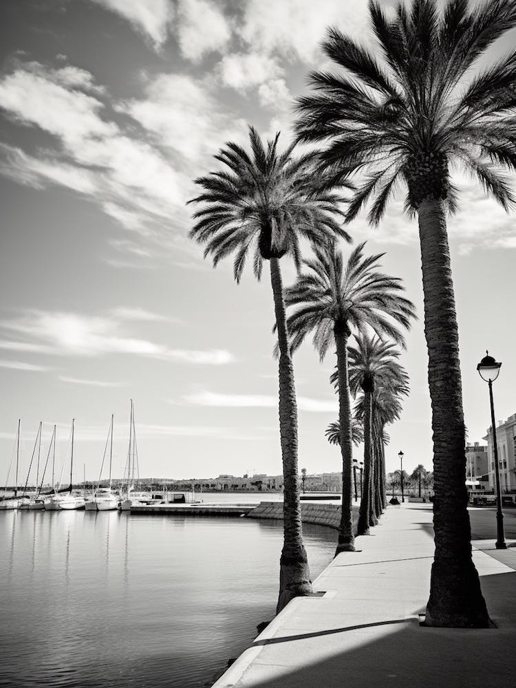Palma De Mallorca Spain Mediterranean Black And White Photography Analogue 3
