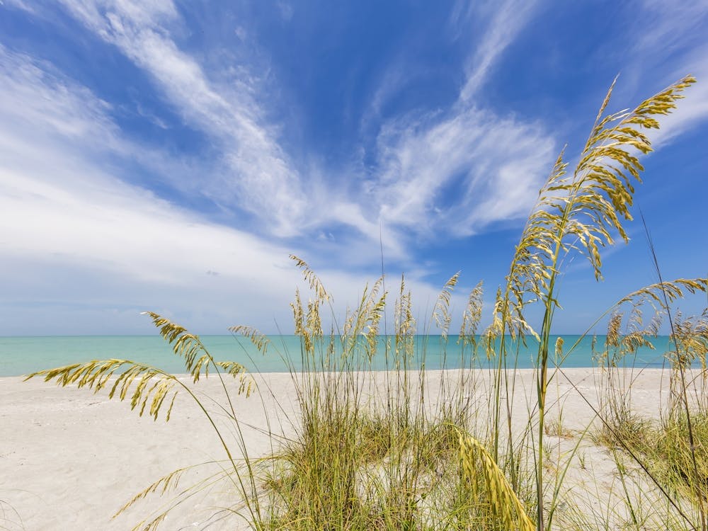 Relaxing Calmness On The Beach