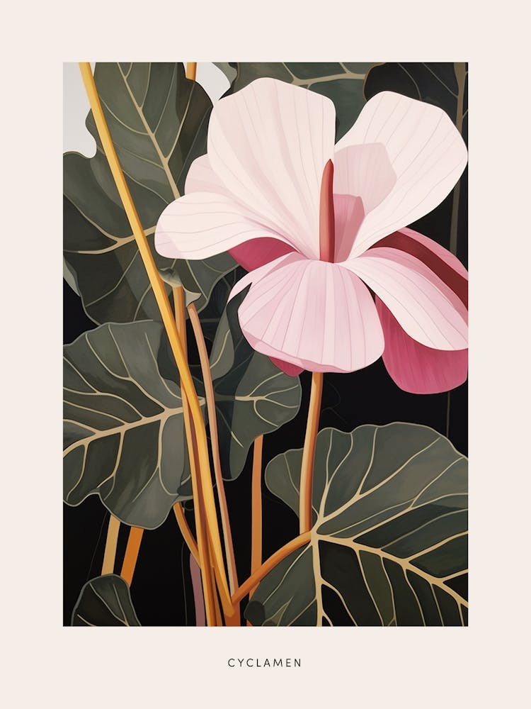 Flower Illustration Cyclamen 2 Poster