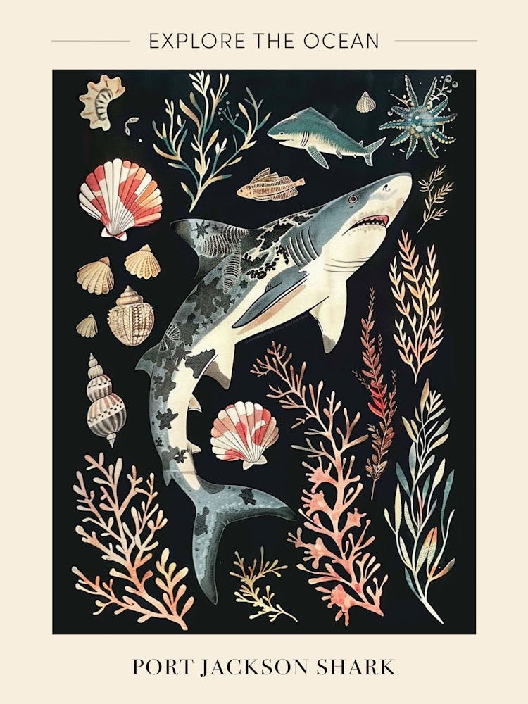 Port Jackson Shark Seascape Black Background Illustration 2 Poster