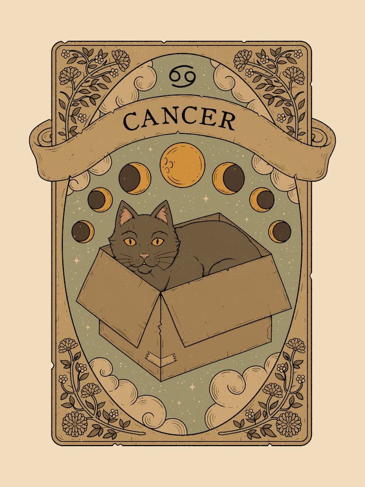 Cats Astrology Cancer