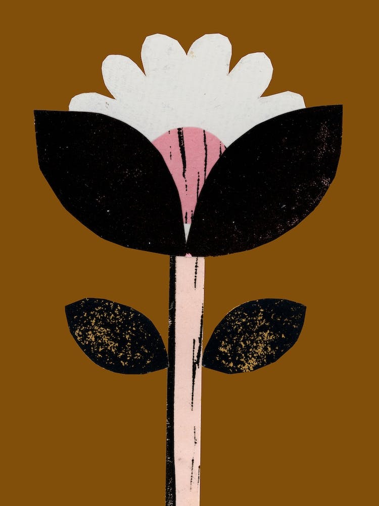 Daisy 1