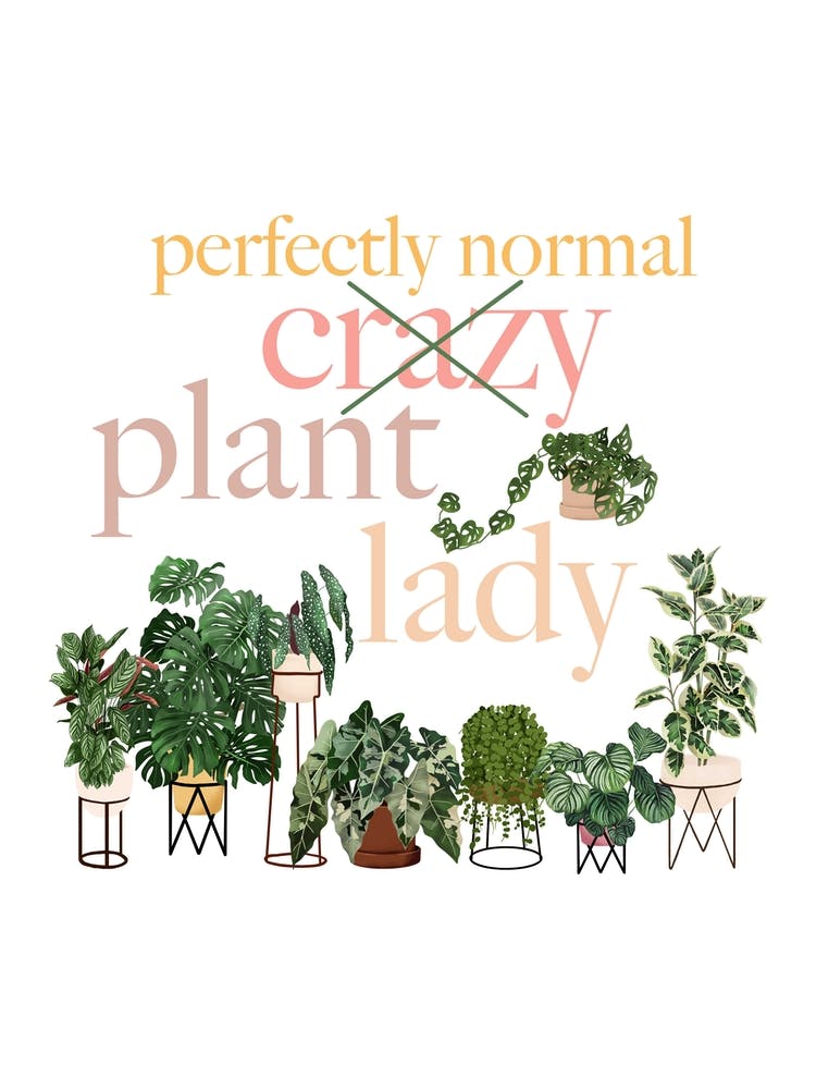 Normal Plant Lady