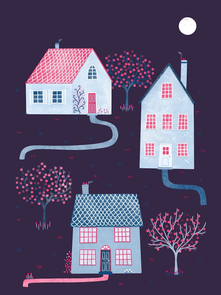 Spring in Townsville Houses In The Moonlight