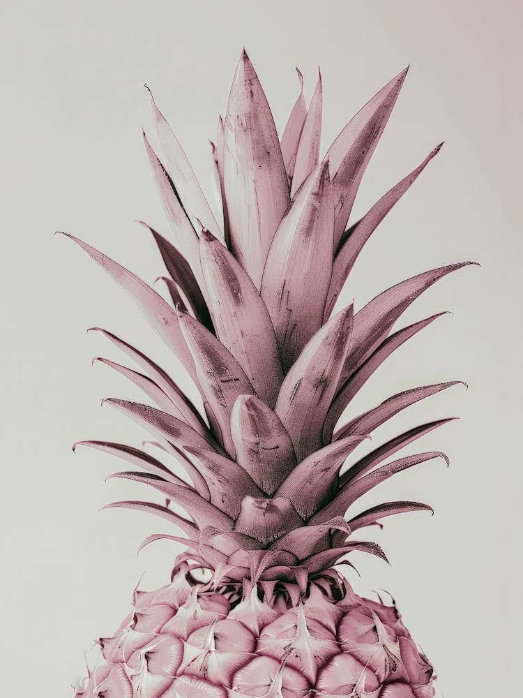 Pink Pineapple 5