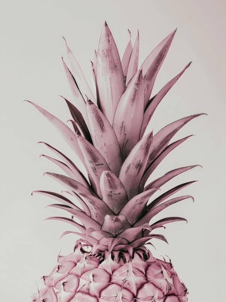 Pink Pineapple 5