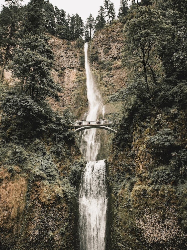 Rustic Waterfall View