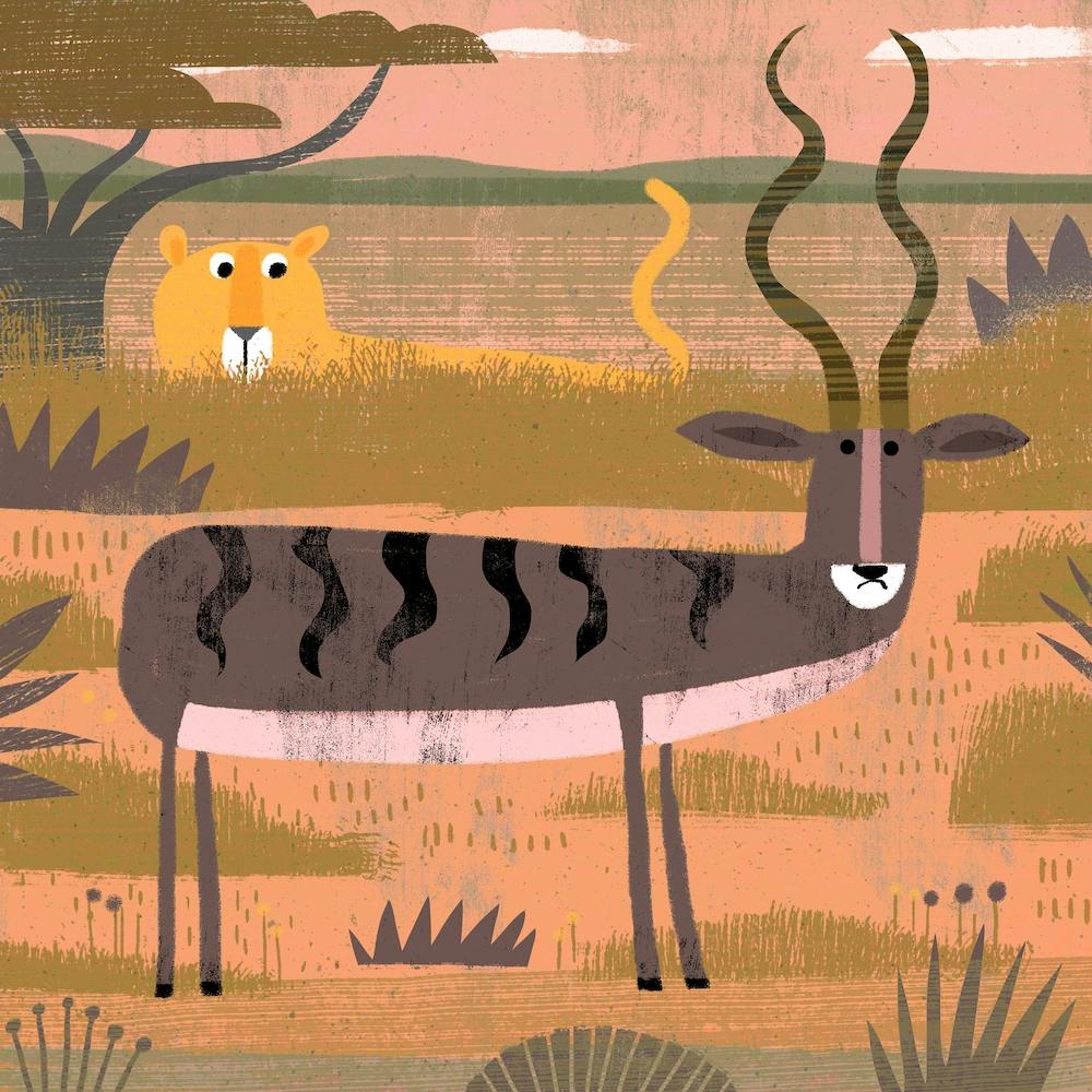 Lioness And Antelope Square