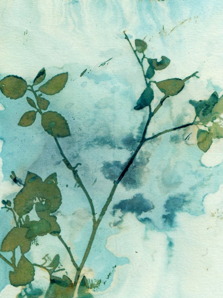 Floral Skies