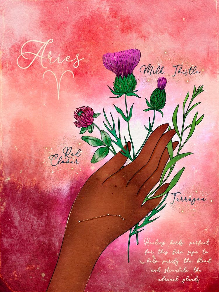 Aries Healing Herbs