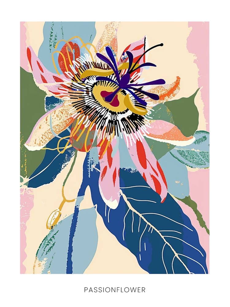 Illustration florale colorée - Affiche Fleur de la passion 3