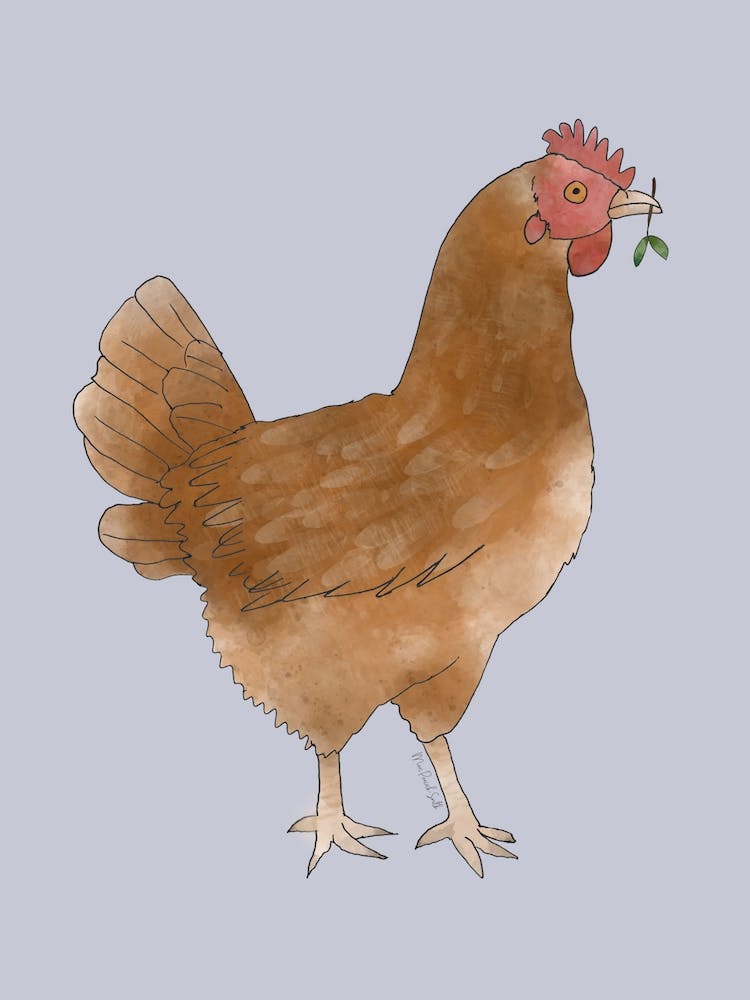 Miss Hen Chicken 2