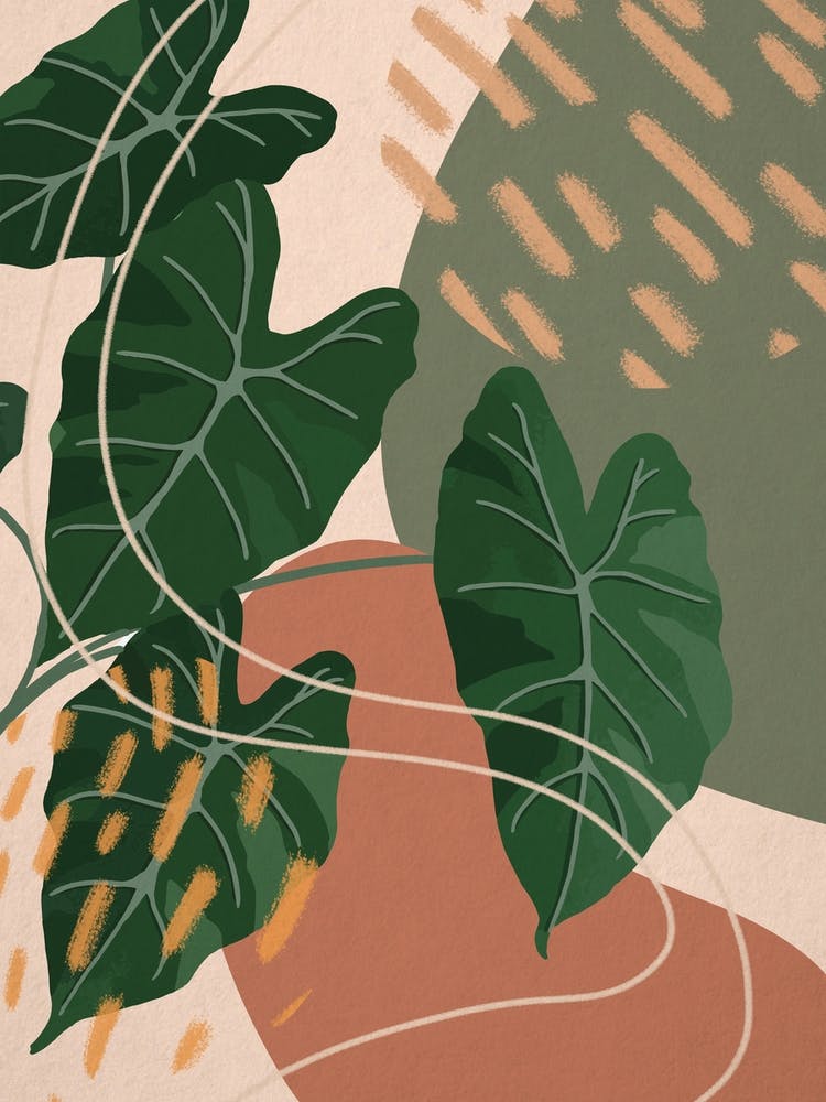 Abstract Shapes Philodendron Plant
