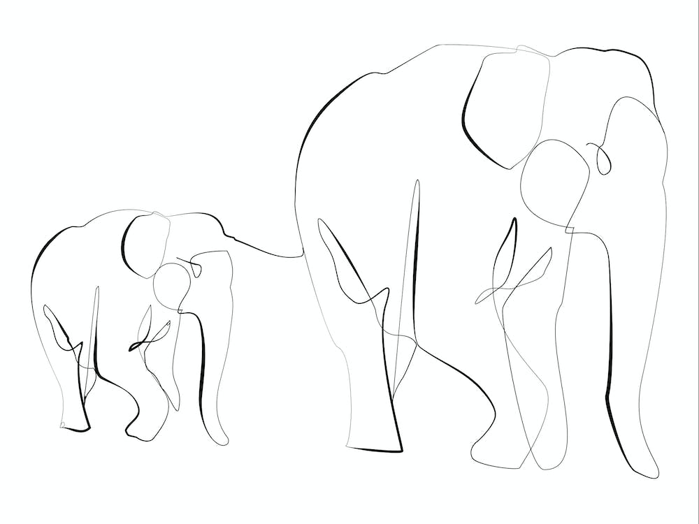 Mother And Baby Elephants
