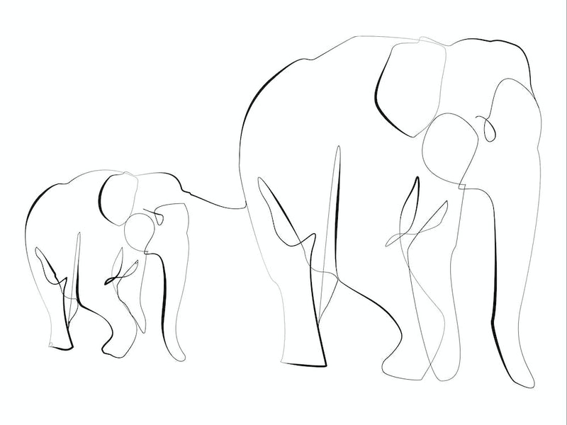 Mother And Baby Elephants
